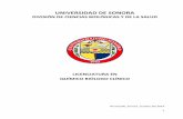 UNIVERSIDAD DE SONORA · 2015-02-24 · Universidad de Sonora Dr. Heriberto Grijalva Monteverde Rector ... taller, práctica, laboratorio 38 4. ... ámbito potencial de trabajo de