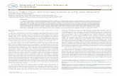Journal of Veterinary Science & Singh et al., Technology · Citation: Singh K, Corner S, Clark SG, Scherba G, Fredrickson R (2012) Seneca Valley Virus and Vesicular Lesions in a Pig