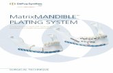 MatrixMANDIBLE pLATINg sysTEM - …synthes.vo.llnwd.net/o16/LLNWMB8/US Mobile/Synthes North America... · The MatrixMANDIBLE plating system is a streamlined, comprehensive system