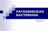 PATOGENICIDAD BACTERIANA - … · Se benefician ambos, hospedador y m.o. Flora mutualista . Parasitismo ... microflora normal . En condiciones normales no producen enfermedad , pero