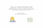 Chain of Coastal Wetlands at the Arid Pacific Coast of ... · Chain of Coastal Wetlands at the Arid Pacific Coast of South America Tabilo E., Burmeister J., Chávez-Villavicencio