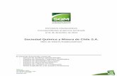 Sociedad Química y Minera de Chile S.A.s1.q4cdn.com/793210788/files/doc_financials/shareholder2015es/... · integrales, de cambios en el patrimonio y de flujos de efectivo por el