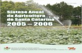 Síntese Anual da Agricultura de Santa Catarina 2005 – …docweb.epagri.sc.gov.br/website_cepa/publicacoes/sintese_2006.pdf · Estado de Santa Catarina Governador do Estado - Eduardo