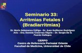 Seminario 33: Arritmias Fetales I (Bradiarritmias) · Ecocardiografía Fetal – Doppler Pulsado ... –Sin efecto en sobrevida fetal. ... Diapositiva 1 Author: Cerpo Created Date
