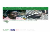 The Financial Needs & Risks of the Microentrepreneur … · The Financial Needs & Risks of the Microentrepreneur in Maputo, Mozambique: A Case Study ... THE FINANCIAL NEEDS & RISKS
