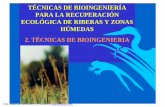 TECNICAS DE BIOINGENIERIA - uah.es teoria/Tema 3... · 3.Mallas y tejidos geosinteticos PDF created with pdfFactory Pro trial version . CLASIFICACIÓN DE LAS TÉCNICAS DE BIOINGENIERÍA