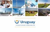Uruguay: a sustainable environment for sustainable the ... Vidal.pdf · The Carinata Experience: Canadian Agricultural Technology Deployed in Uruguay Carinata is grown as a second