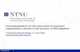 Conceptualizations of risk and control in business … · Conceptualizations of risk and control in business organizations relevant to the process of OSS adoption Trial lecture Øyvind