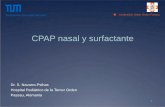 CPAP nasal y surfactante - pediatrasyucatan.org.mxpediatrasyucatan.org.mx/wp-content/uploads/2016/11/Administracion... · • Australia: Katheter arterial 3.5 Ch oro-traqueal sin