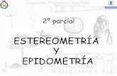 ESTEREOMETRÍA Y EPIDOMETRÍA - ocw.upm.esocw.upm.es/.../estereometria/tema14.pdf · que ocupan una determinada extensión de terreno de forma conjunta y que tienen una característica