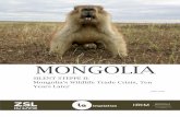 MONGOLIA - zsl.org Steppe... · 3 Mongolia officially traded seven wildlife species during the Soviet era, including marmot, red fox, corsac fox, wolf, wild boar, had yet to come