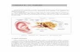 CAPÍTULO II .- LA AUDICIÓN - jmunozy.org · 2.4 FISIOLOGIA DE LA AUDICION ... nervio auditivo o bien en la corteza cerebral. c) H. mixtas.- La lesión se localiza tanto en los órganos