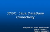 JDBC: Java DataBase Conectivity - …profesores.elo.utfsm.cl/~agv/elo330/2s08/projects/RobertoVargas... · API’s s Java Interfaz de Programación de Aplicaciones Herramientas para