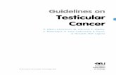Guidelines on Testicular Cancer - Uroweb · Guidelines on Testicular Cancer P. Albers (chairman), W. Albrecht, F. Algaba, C. Bokemeyer, G. Cohn-Cedermark, K. Fizazi, A. Horwich, M.P.