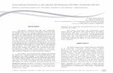 History and description of “El Niño, Southern Oscillation ...meteobinefar.binefar.es/wp-content/uploads/2012/09/el-niño.pdf · 13 Antecedentes históricos y descripción del fenómeno