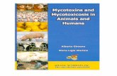 Mycotoxins and Mycotoxicosis in Animals and Humans and mycotoxicosis in... · Mycotoxins and Mycotoxicosis in Animals and Humans 3 ALBERTO GIMENO MARIA LIGIA MARTINS Mycotoxins and