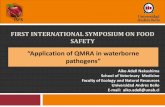 Application of QMRA in waterborne pathogensveterinaria.unab.cl/wp-content/uploads/2017/01/Dr.-Aiko-Adell-OK... · FIRST INTERNATIONAL SYMPOSIUM ON FOOD SAFETY “Application of QMRA