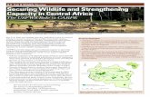 U.S. Fish & Wildlife Service Securing Wildlife and ... · CARPE’s primary objective is to reduce the rate of biodiversity loss and forest degradation in the Congo Basin by increasing