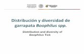 Distribución y diversidad de garrapata Boophilus spp. · garrapatas. Other factors that influence the distribution are the altitude, presence and abundance of hosts and the control