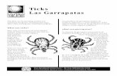 Ticks - Las Garrapatasnasdonline.org/static_content/documents/1458/d001257.pdf · Ticks Las Garrapatas Tick bites can be annoying, painful and sometimes dangerous. Knowing some facts