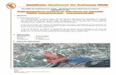INFORME DE EMERGENCIA N°052 20/01/2014/COEN …reliefweb.int/sites/reliefweb.int/files/resources/Informe de... · Tractor 1 Central Hidroeléctrica del Mantaro Cargador Frontal 1