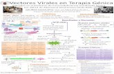 Vectores Virales en Terapia Génica147.96.70.122/Web/TFG/TFG/Poster/JULIA MARIA CORONAS SERNA.pdf · Vectores Virales en Terapia Génica Aplicados en el Síndrome de Inmunodeficiencia