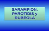 SARAMPION, PAROTIDIS y RUBÉOLAecaths1.s3.amazonaws.com/virologiaclinicafacena/842195518.Clase... · conjuntivitis, tos, enantema en mucosa oral con manchas de Koplik, luego exantema.