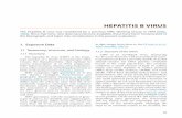 HEPATITIS B VIRUS - monographs.iarc.fr · Hepatitis B virus 95 Fig. 1.1 Transcriptional and translational map of HBV The partially double-stranded, circular rc-DNA is indicated by
