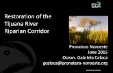 Restoration of the Tijuana River Riparian Corridor · Recover Recuperar • Natural areas Espacios naturales • Hydrological and ecological functions Funciones hidrológicas y ecológicas