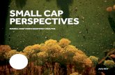 SMALL CAP PERSPECTIVES - FTSE Russell · FTSE Russell | Small Cap Perspectives: ... June 30, 2017, outpaced only by the Russell Microcap Index’s impressive +27.6% return over the
