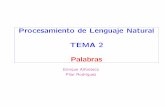 Procesamiento de Lenguaje Natural TEMA 2 Palabrasalfonseca.org/nlp/tema2.pdf · (Lenguas indoeuropeas). Isolating languages (Lenguajes aislantes): no ... (nombres, adjetivos y pronombres).