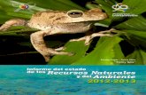 Estado de los Recursos - Red por la Justicia Ambiental … · Estado de los Recursos ... Recuperación de suelos en Colombia (Corpoica). b) ... Programa de acreditación de laboratorios