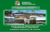 Diagnostico Turístico Municipio de Pucará - … · Dispone de un amplio potencial en torno a la pesca deportiva, la historia y cultura Vallegrandina, el turismo de aventura, ecoturismo,