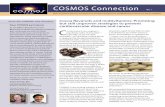 COSMOS Connection - COSMOS Trial Connection... · COSMOS Connection b 3 Ancillary Studies In addition to testing whether cocoa extract or multivitamin supplements can prevent heart