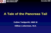 A Tale of the Pancreas Tail - Lieberman's eRadiologyeradiology.bidmc.harvard.edu/LearningLab/gastro/Taniguchi.pdf · A Tale of the Pancreas Tail Cullen Taniguchi, HMS III Gillian