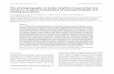 Lagenorhynchus obscurus): a critical examination of … Institute, University of Pretoria, Pretoria, 0002 South Africa, Laboratorio de Mamiferos Marinos, Centro Nacional Patagonico,