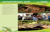 AArk Boletin Informativo amphibian ark Informativo · ... una especie de Leptodactylus no descrita en peligro de ... Laboratorio de Biogeografía de la Universidad de los Andes en