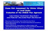 Ozone Risk Assessment for Winter Wheat at Local …icpvegetation.ceh.ac.uk/events/documents/Gruenhageetal.pdf · Grünhage et al. 22 nd TFM of ICP Vegetation Ozone Risk Assessment