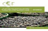 N 11 - Conservation Strategy Fundconservation-strategy.org/sites/default/files/field-file/ES... · Diciembre 2015 El mercado para productos derivados de asaí, majo, castaña y copoazú