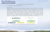 THE IMMUNE SYSTEM OF SHRIMP - Semantic Scholar · THE IMMUNE SYSTEM OF SHRIMP By : Franklin S. Martínez (fmartinezt@alicorp.com.pe) Nicovita-ALICORP SAA Technical Service Introduction