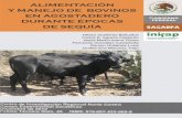 Diana2 Folleto Bovinos en Agostadero · productiva de forraje del Desierto Chihuahuense, y que en los últimos 20 años se ha reducido en 50% la . 14!! ... El pastoreo de ganado es