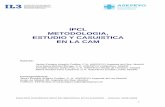 IPCL METODOLOGIA, ESTUDIO Y CASUISTICA EN …diposit.ub.edu/dspace/bitstream/2445/13311/1/IPCL.MME.word.pdf · ESTUDIO Y CASUISTICA EN LA CAM Autores: Javier Enrique Aragón Cutillas.