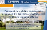 Prospecting volatile compounds produced by Brazilian ... · produced by Brazilian cyanobacteria with allelopathic effects ... Geosmin and MIB production comparison by genetic and