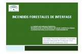 INCENDIOS FORESTALES DE INTERFASE - Home - … · incendios forestales de interfase la interfase urbano-forestal. incidencia en la estrategia de lucha contra el fuego: autoprotecciÓn,