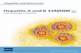 Hepatitis A and B - diasorin.com · Early diagnosis? Acute or chronic infection? LIAISON® xL Hepatitis A and B is the Solution Outbreaks of epidemic jaundice were known in both Greek