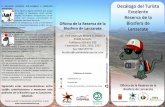 Oﬁcina de la Reserva de la Biosfera de Lanzarote · Voluntariado ambiental Diversas asociaciones ecologistas e instuciones ofrecen programas de voluntariado medioambiental para