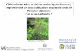 CDM reforestation activities under Kyoto Protocol ... · It is provided an assessment of the feasibility and the convenience of land use change from degraded coca cultivation fields