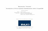 Analysis of Encrypted Databases with CryptDB - … · ii Acknowledgements Writing this thesis was a time consuming process and the end result has beneﬁted greatly from the input