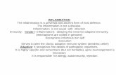 INFLAMMATION Innate (~inflammation): delaying the …semmelweis.hu/patologia1/files/2015/09/ED-Inflammation.pdf · Inflammatio fibrinoso-purulenta Appendicitis acuta. Purulent inflammation