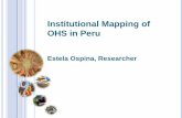 Institutional Mapping of OHS in Peru - WIEGO · Institutional Mapping of OHS in Peru Index 1. Informal employment and profile of informal workers in Peru 2. Selection of 4 occupational
